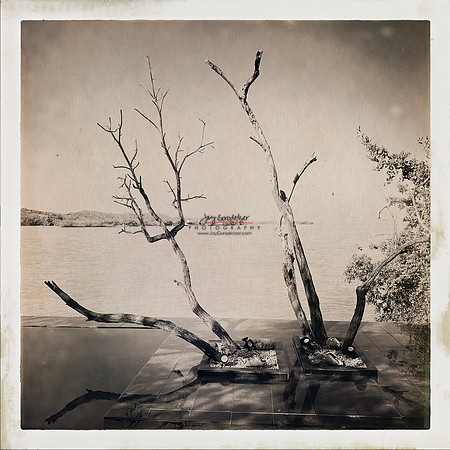 FEB 2023 Las Islas 025