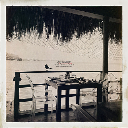 FEB 2023 Las Islas 028