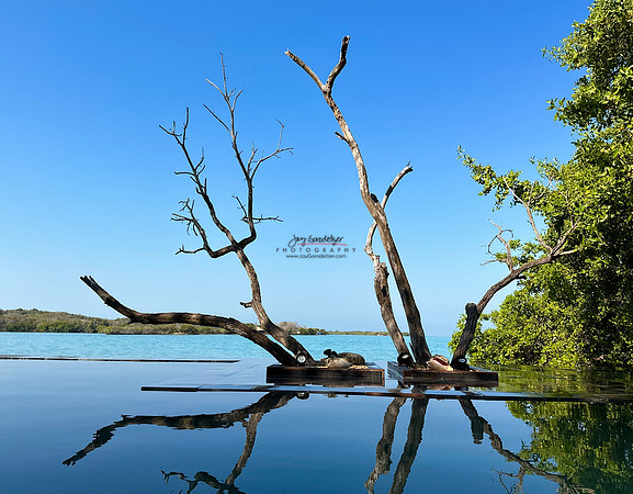 FEB 2023 Las Islas 027