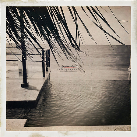 FEB 2023 Las Islas 031