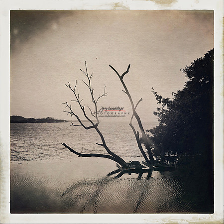 FEB 2023 Las Islas 036