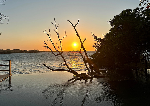 FEB 2023 Las Islas 037