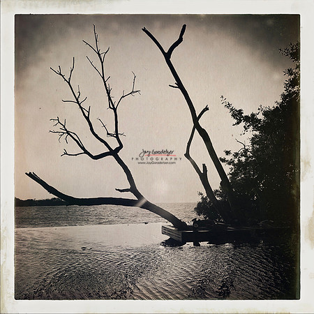FEB 2023 Las Islas 039