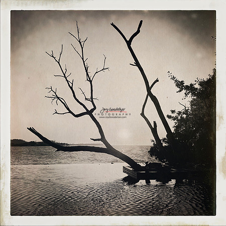 FEB 2023 Las Islas 041
