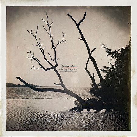 FEB 2023 Las Islas 042