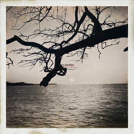 FEB 2023 Las Islas 053