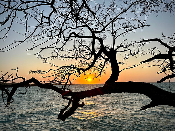 FEB 2023 Las Islas 052