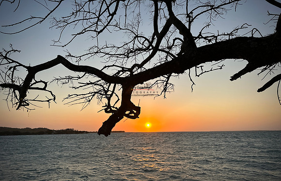 FEB 2023 Las Islas 054