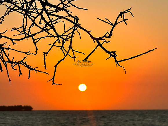 FEB 2023 Las Islas 102