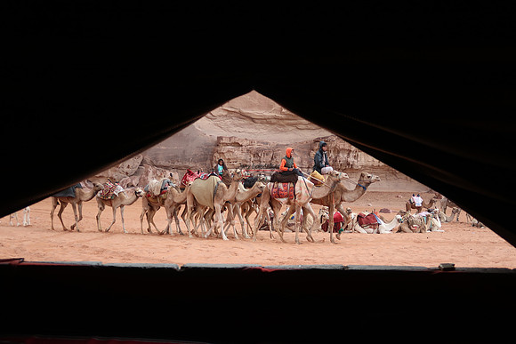 020720 WADI 195