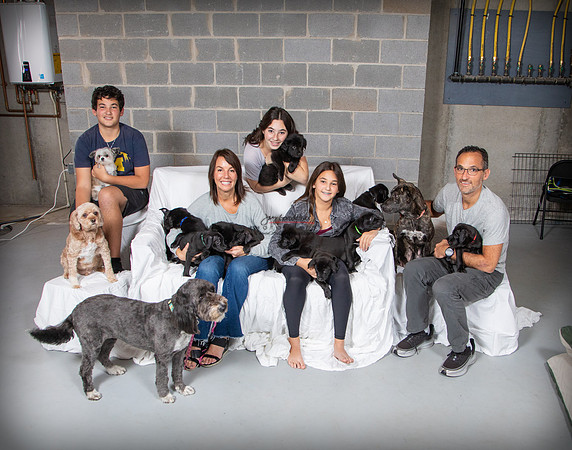 110820 DOGS 048
