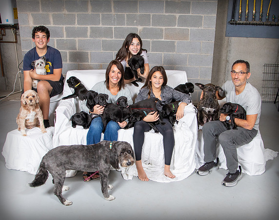 110820 DOGS 050