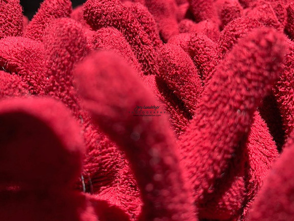 Deven Detail 1