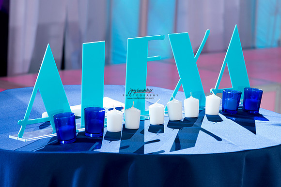 061519 ALEXA 131B
