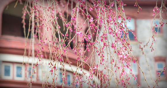 031920 BAL 048