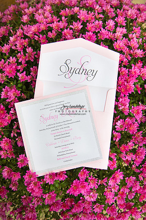 101317 SYD 060