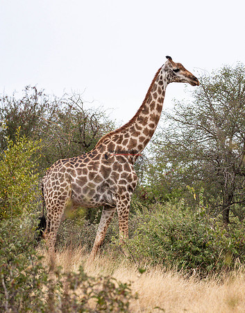 032324 MOTSWARI 053