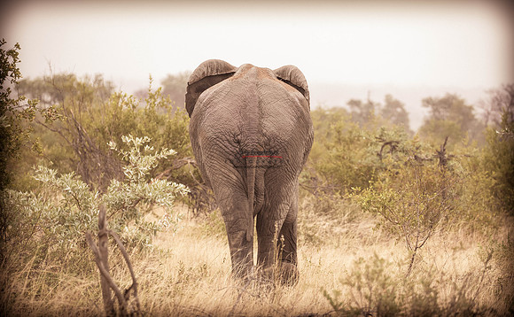 032324 MOTSWARI 295-2