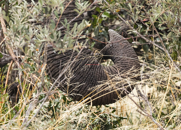 032324 MOTSWARI 359