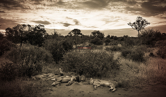 557428-2