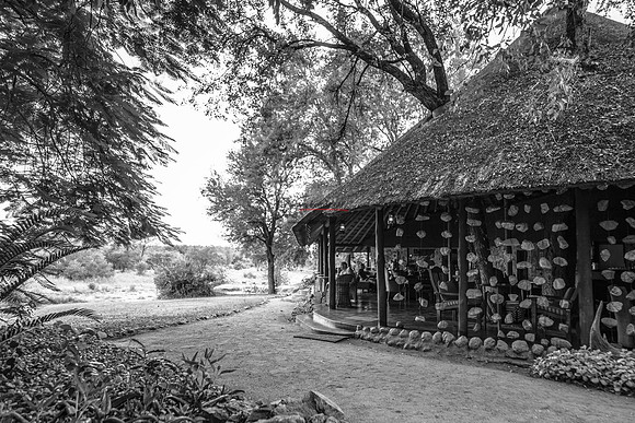 032224 MOTSWARI 018