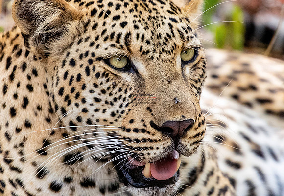 032224 MOTSWARI 031