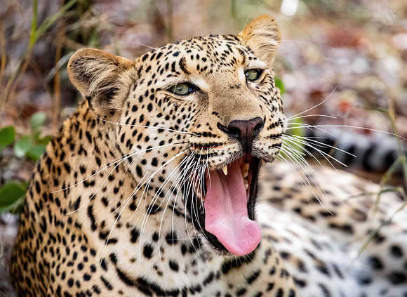 032224 MOTSWARI 035