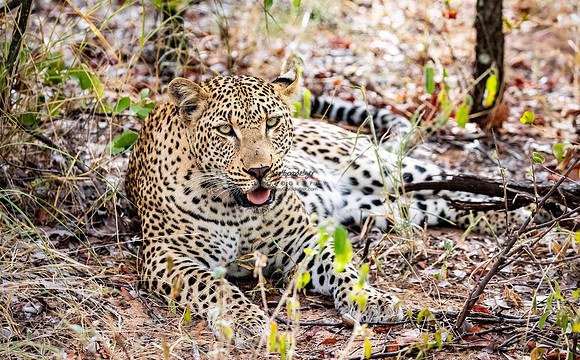 032224 MOTSWARI 034