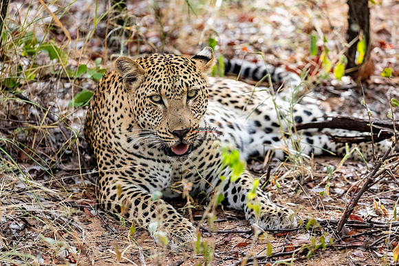 032224 MOTSWARI 030