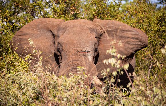 032324 Motswari PM 056
