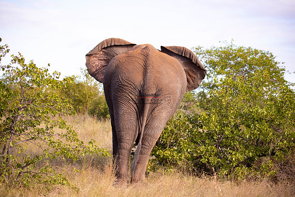 032324 Motswari PM 078