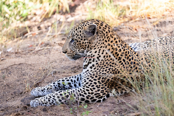032524 Motswari 085