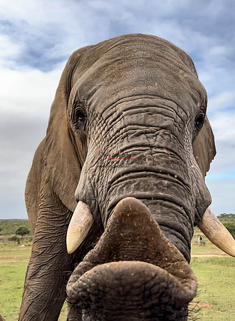 032424 Motswari 001