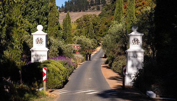 032924 VINYARDs 009