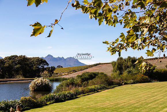 032924 VINYARDs 056