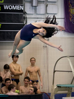 2/1/16 Baldwin Diving