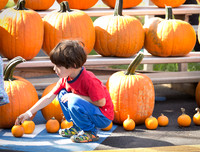 10/22/17 FCS Pumpkin Fair