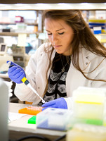 Penn Smilow Center for Transitional Research